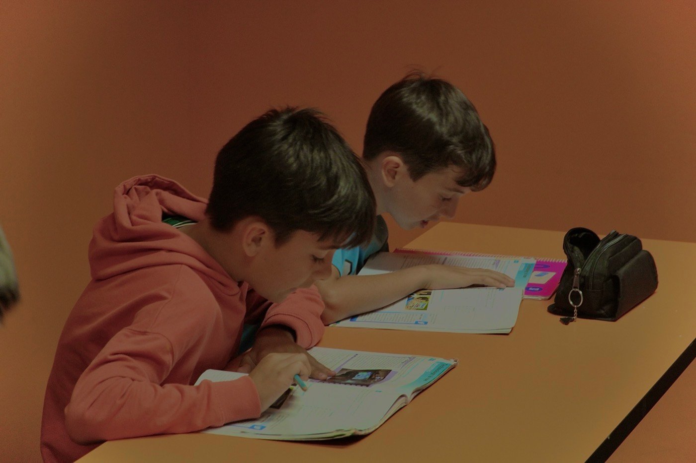 Apoyo escolar en GoSpeak Málaga